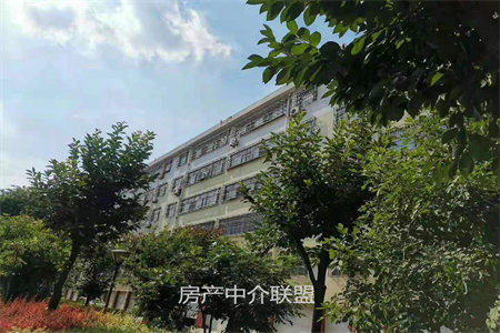 密州电力七小区3室2厅1卫81万137m2出售